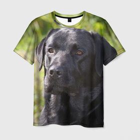 Мужская футболка 3D с принтом Лабрадор в Петрозаводске, 100% полиэфир | прямой крой, круглый вырез горловины, длина до линии бедер | животное | лабрадор | порода | собака