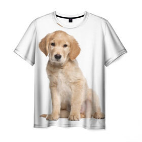 Мужская футболка 3D с принтом Золотистый ретривер в Петрозаводске, 100% полиэфир | прямой крой, круглый вырез горловины, длина до линии бедер | животное | золотистый ретривер | порода | собака