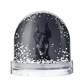 Снежный шар с принтом Доберман в Петрозаводске, Пластик | Изображение внутри шара печатается на глянцевой фотобумаге с двух сторон | Тематика изображения на принте: доберман | животное | порода | собака