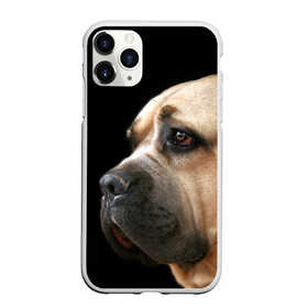 Чехол для iPhone 11 Pro Max матовый с принтом Канне корсо в Петрозаводске, Силикон |  | животное | канне корсо | порода | собака