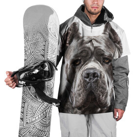 Накидка на куртку 3D с принтом Канне корсо в Петрозаводске, 100% полиэстер |  | Тематика изображения на принте: животное | канне корсо | порода | собака