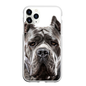 Чехол для iPhone 11 Pro матовый с принтом Канне корсо в Петрозаводске, Силикон |  | животное | канне корсо | порода | собака