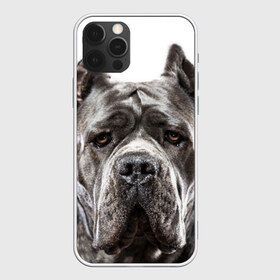 Чехол для iPhone 12 Pro Max с принтом Канне корсо в Петрозаводске, Силикон |  | Тематика изображения на принте: животное | канне корсо | порода | собака
