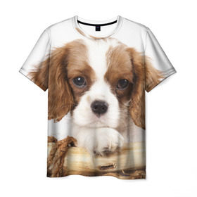 Мужская футболка 3D с принтом Кинг чарльз спаниель в Петрозаводске, 100% полиэфир | прямой крой, круглый вырез горловины, длина до линии бедер | животное | кинг чарльз спаниель | порода | собака
