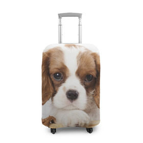 Чехол для чемодана 3D с принтом Кинг чарльз спаниель в Петрозаводске, 86% полиэфир, 14% спандекс | двустороннее нанесение принта, прорези для ручек и колес | Тематика изображения на принте: животное | кинг чарльз спаниель | порода | собака