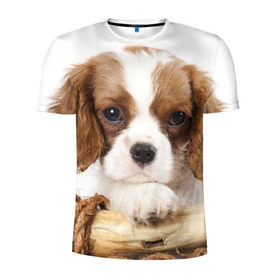 Мужская футболка 3D спортивная с принтом Кинг чарльз спаниель в Петрозаводске, 100% полиэстер с улучшенными характеристиками | приталенный силуэт, круглая горловина, широкие плечи, сужается к линии бедра | животное | кинг чарльз спаниель | порода | собака