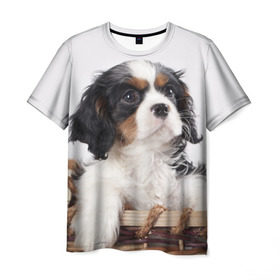 Мужская футболка 3D с принтом Кинг чарльз спаниель в Петрозаводске, 100% полиэфир | прямой крой, круглый вырез горловины, длина до линии бедер | животное | кинг чарльз спаниель | порода | собака