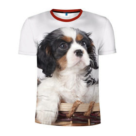 Мужская футболка 3D спортивная с принтом Кинг чарльз спаниель в Петрозаводске, 100% полиэстер с улучшенными характеристиками | приталенный силуэт, круглая горловина, широкие плечи, сужается к линии бедра | животное | кинг чарльз спаниель | порода | собака