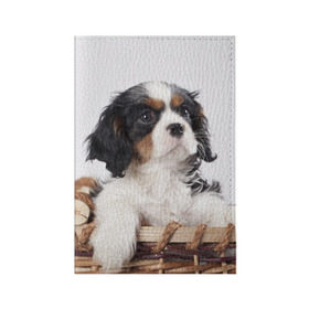 Обложка для паспорта матовая кожа с принтом Кинг чарльз спаниель в Петрозаводске, натуральная матовая кожа | размер 19,3 х 13,7 см; прозрачные пластиковые крепления | животное | кинг чарльз спаниель | порода | собака
