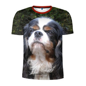 Мужская футболка 3D спортивная с принтом Кинг чарльз спаниель в Петрозаводске, 100% полиэстер с улучшенными характеристиками | приталенный силуэт, круглая горловина, широкие плечи, сужается к линии бедра | Тематика изображения на принте: животное | кинг чарльз спаниель | порода | собака
