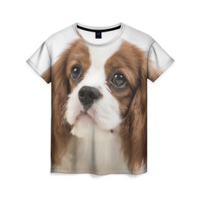 Женская футболка 3D с принтом Кинг чарльз спаниель в Петрозаводске, 100% полиэфир ( синтетическое хлопкоподобное полотно) | прямой крой, круглый вырез горловины, длина до линии бедер | животное | кинг чарльз спаниель | порода | собака