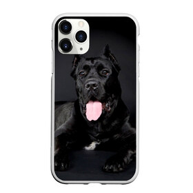 Чехол для iPhone 11 Pro матовый с принтом Канне корсо в Петрозаводске, Силикон |  | животное | канне корсо | порода | собака