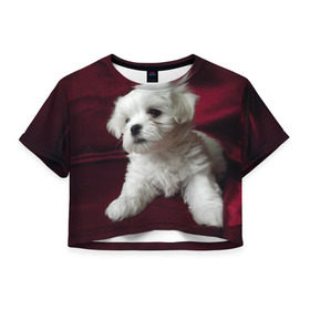 Женская футболка 3D укороченная с принтом Мальтийская болонка в Петрозаводске, 100% полиэстер | круглая горловина, длина футболки до линии талии, рукава с отворотами | животное | мальтийская болонка | порода | собака