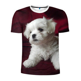 Мужская футболка 3D спортивная с принтом Мальтийская болонка в Петрозаводске, 100% полиэстер с улучшенными характеристиками | приталенный силуэт, круглая горловина, широкие плечи, сужается к линии бедра | животное | мальтийская болонка | порода | собака