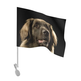 Флаг для автомобиля с принтом Леонбергер в Петрозаводске, 100% полиэстер | Размер: 30*21 см | Тематика изображения на принте: животное | леонбергер | порода | собака