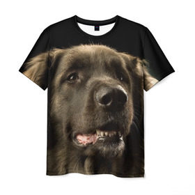 Мужская футболка 3D с принтом Леонбергер в Петрозаводске, 100% полиэфир | прямой крой, круглый вырез горловины, длина до линии бедер | животное | леонбергер | порода | собака