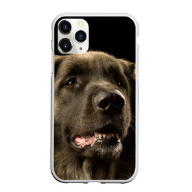 Чехол для iPhone 11 Pro матовый с принтом Леонбергер в Петрозаводске, Силикон |  | Тематика изображения на принте: животное | леонбергер | порода | собака