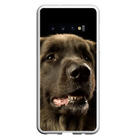 Чехол для Samsung Galaxy S10 с принтом Леонбергер в Петрозаводске, Силикон | Область печати: задняя сторона чехла, без боковых панелей | Тематика изображения на принте: животное | леонбергер | порода | собака