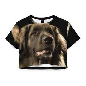 Женская футболка 3D укороченная с принтом Леонбергер в Петрозаводске, 100% полиэстер | круглая горловина, длина футболки до линии талии, рукава с отворотами | Тематика изображения на принте: животное | леонбергер | порода | собака