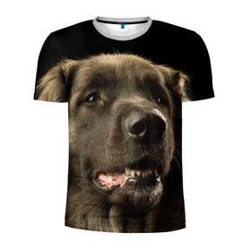 Мужская футболка 3D спортивная с принтом Леонбергер в Петрозаводске, 100% полиэстер с улучшенными характеристиками | приталенный силуэт, круглая горловина, широкие плечи, сужается к линии бедра | животное | леонбергер | порода | собака