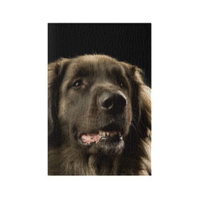 Обложка для паспорта матовая кожа с принтом Леонбергер в Петрозаводске, натуральная матовая кожа | размер 19,3 х 13,7 см; прозрачные пластиковые крепления | Тематика изображения на принте: животное | леонбергер | порода | собака