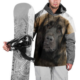 Накидка на куртку 3D с принтом Леонбергер в Петрозаводске, 100% полиэстер |  | животное | леонбергер | порода | собака
