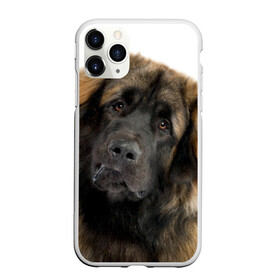 Чехол для iPhone 11 Pro матовый с принтом Леонбергер в Петрозаводске, Силикон |  | Тематика изображения на принте: животное | леонбергер | порода | собака