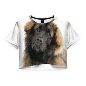 Женская футболка 3D укороченная с принтом Леонбергер в Петрозаводске, 100% полиэстер | круглая горловина, длина футболки до линии талии, рукава с отворотами | Тематика изображения на принте: животное | леонбергер | порода | собака