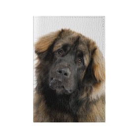 Обложка для паспорта матовая кожа с принтом Леонбергер в Петрозаводске, натуральная матовая кожа | размер 19,3 х 13,7 см; прозрачные пластиковые крепления | животное | леонбергер | порода | собака