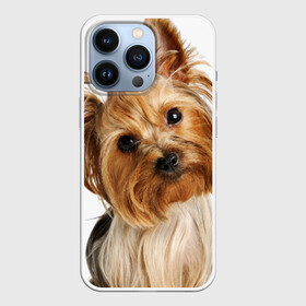 Чехол для iPhone 13 Pro с принтом Йоркширский терьер в Петрозаводске,  |  | Тематика изображения на принте: животное | йоркширский терьер | порода | собака