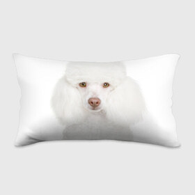 Подушка 3D антистресс с принтом Белый пудель в Петрозаводске, наволочка — 100% полиэстер, наполнитель — вспененный полистирол | состоит из подушки и наволочки на молнии | белый пудель | животное | порода | собака