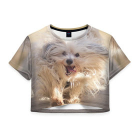 Женская футболка 3D укороченная с принтом Мохнатая собака в Петрозаводске, 100% полиэстер | круглая горловина, длина футболки до линии талии, рукава с отворотами | животное | мохнатая собака | порода | собака