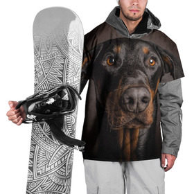Накидка на куртку 3D с принтом Доберман в Петрозаводске, 100% полиэстер |  | Тематика изображения на принте: доберман | животное | порода | собака