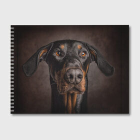 Альбом для рисования с принтом Доберман в Петрозаводске, 100% бумага
 | матовая бумага, плотность 200 мг. | доберман | животное | порода | собака