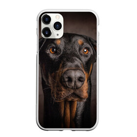 Чехол для iPhone 11 Pro матовый с принтом Доберман в Петрозаводске, Силикон |  | Тематика изображения на принте: доберман | животное | порода | собака