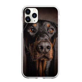 Чехол для iPhone 11 Pro Max матовый с принтом Доберман в Петрозаводске, Силикон |  | Тематика изображения на принте: доберман | животное | порода | собака
