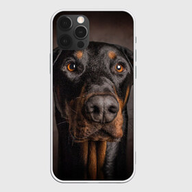 Чехол для iPhone 12 Pro Max с принтом Доберман в Петрозаводске, Силикон |  | Тематика изображения на принте: доберман | животное | порода | собака