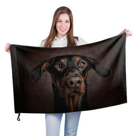 Флаг 3D с принтом Доберман в Петрозаводске, 100% полиэстер | плотность ткани — 95 г/м2, размер — 67 х 109 см. Принт наносится с одной стороны | доберман | животное | порода | собака