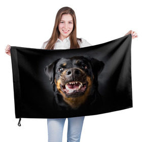 Флаг 3D с принтом Ротвейлер в Петрозаводске, 100% полиэстер | плотность ткани — 95 г/м2, размер — 67 х 109 см. Принт наносится с одной стороны | животное | порода | ротвейлер | собака