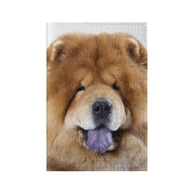 Обложка для паспорта матовая кожа с принтом Чау-чау в Петрозаводске, натуральная матовая кожа | размер 19,3 х 13,7 см; прозрачные пластиковые крепления | Тематика изображения на принте: животное | порода | собака | чау чау