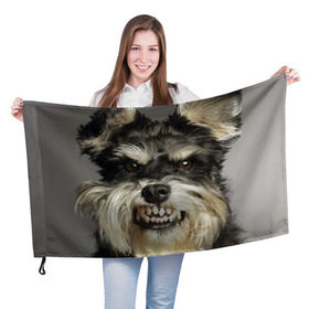 Флаг 3D с принтом Цвергшнауцер в Петрозаводске, 100% полиэстер | плотность ткани — 95 г/м2, размер — 67 х 109 см. Принт наносится с одной стороны | животное | порода | собака | цвергшнауцер