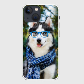 Чехол для iPhone 13 mini с принтом Хаски в Петрозаводске,  |  | животное | порода | собака | хаски