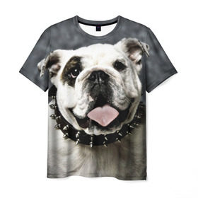 Мужская футболка 3D с принтом Английский бульдог в Петрозаводске, 100% полиэфир | прямой крой, круглый вырез горловины, длина до линии бедер | животное | порода | собака | французский бульдог