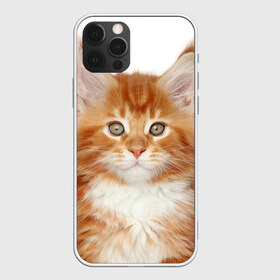 Чехол для iPhone 12 Pro Max с принтом Рыжий котенок в Петрозаводске, Силикон |  | Тематика изображения на принте: животное | порода | рыжий котенок