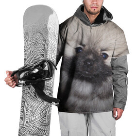 Накидка на куртку 3D с принтом Кеесхонд в Петрозаводске, 100% полиэстер |  | Тематика изображения на принте: животное | кеесхонд | порода | собака