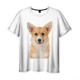 Мужская футболка 3D с принтом Пемброк-вельш-корги в Петрозаводске, 100% полиэфир | прямой крой, круглый вырез горловины, длина до линии бедер | животное | пемброк вельш корги | порода | собака