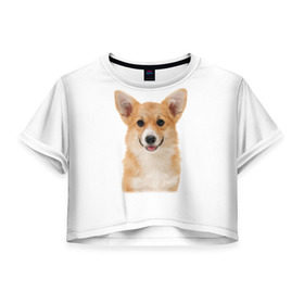 Женская футболка 3D укороченная с принтом Пемброк-вельш-корги в Петрозаводске, 100% полиэстер | круглая горловина, длина футболки до линии талии, рукава с отворотами | животное | пемброк вельш корги | порода | собака