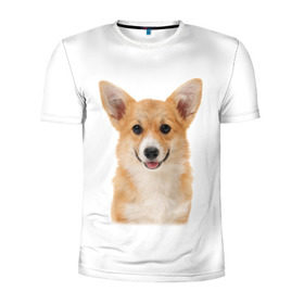 Мужская футболка 3D спортивная с принтом Пемброк-вельш-корги в Петрозаводске, 100% полиэстер с улучшенными характеристиками | приталенный силуэт, круглая горловина, широкие плечи, сужается к линии бедра | животное | пемброк вельш корги | порода | собака