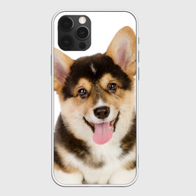 Чехол для iPhone 12 Pro Max с принтом Пемброк-вельш-корги в Петрозаводске, Силикон |  | Тематика изображения на принте: животное | пемброк вельш корги | порода | собака
