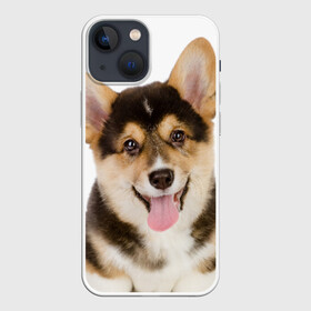 Чехол для iPhone 13 mini с принтом Пемброк вельш корги в Петрозаводске,  |  | животное | пемброк вельш корги | порода | собака